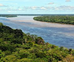 Amazonas Regnskogar