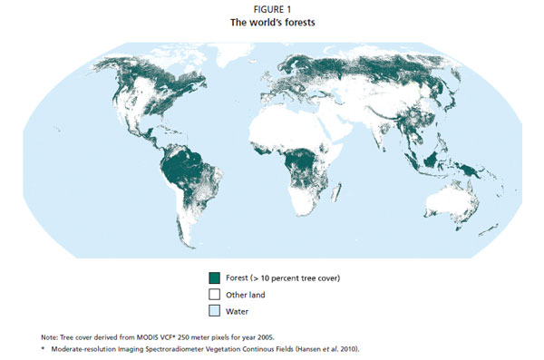 Utrotningshotade djur och urskogar